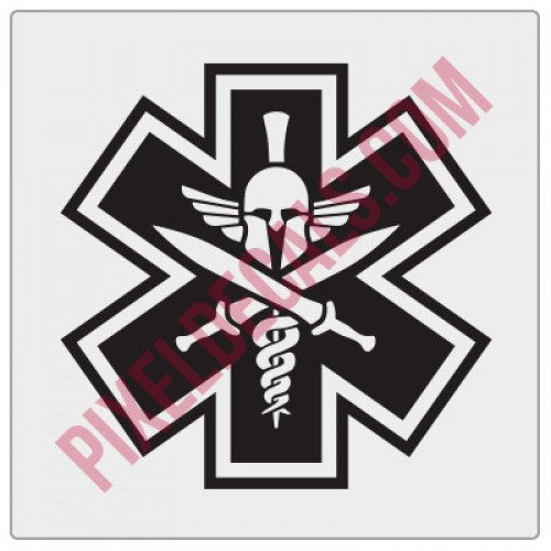 EMS Spartan Decal